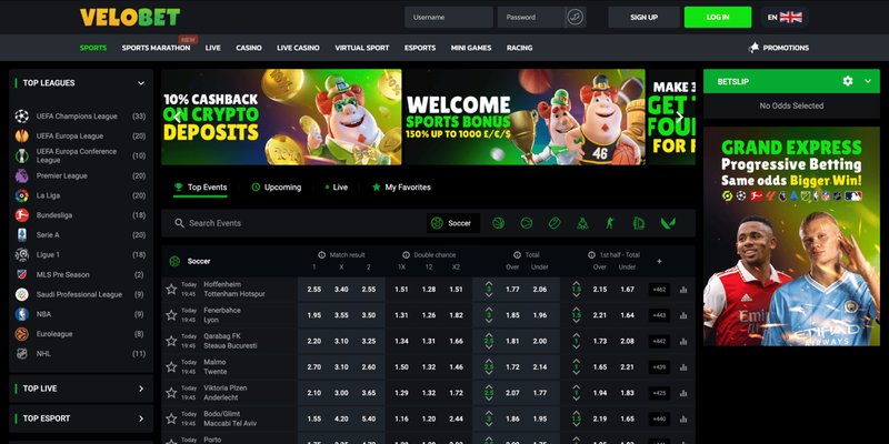Learn about velobet login